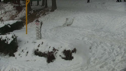 Běžecký lyžařský areál Nová Ves - horní část