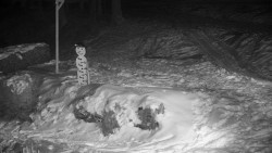 Běžecký lyžařský areál Nová Ves - horní část