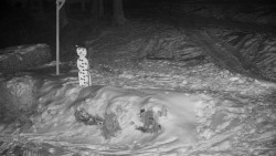 Běžecký lyžařský areál Nová Ves - horní část