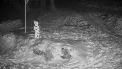 Běžecký lyžařský areál Nová Ves - horní část