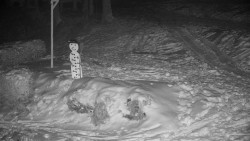 Běžecký lyžařský areál Nová Ves - horní část