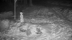 Běžecký lyžařský areál Nová Ves - horní část