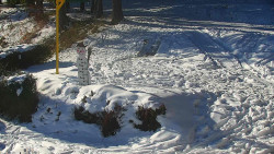 Běžecký lyžařský areál Nová Ves - horní část