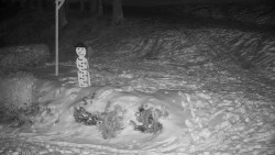 Běžecký lyžařský areál Nová Ves - horní část