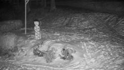 Běžecký lyžařský areál Nová Ves - horní část