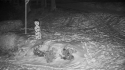 Běžecký lyžařský areál Nová Ves - horní část