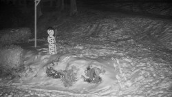 Běžecký lyžařský areál Nová Ves - horní část