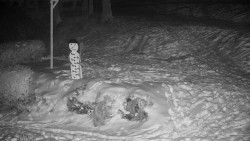 Běžecký lyžařský areál Nová Ves - horní část