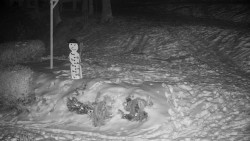 Běžecký lyžařský areál Nová Ves - horní část