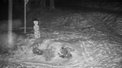 Běžecký lyžařský areál Nová Ves - horní část