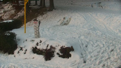 Běžecký lyžařský areál Nová Ves - horní část