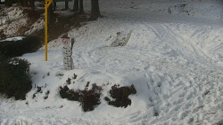 Běžecký lyžařský areál Nová Ves - horní část