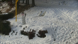 Běžecký lyžařský areál Nová Ves - horní část