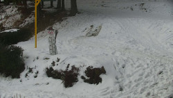 Běžecký lyžařský areál Nová Ves - horní část