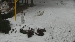 Běžecký lyžařský areál Nová Ves - horní část