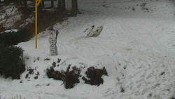 Běžecký lyžařský areál Nová Ves - horní část