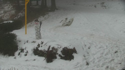 Běžecký lyžařský areál Nová Ves - horní část