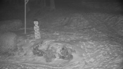 Běžecký lyžařský areál Nová Ves - horní část