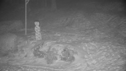 Běžecký lyžařský areál Nová Ves - horní část