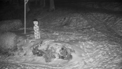 Běžecký lyžařský areál Nová Ves - horní část