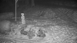 Běžecký lyžařský areál Nová Ves - horní část