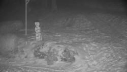 Běžecký lyžařský areál Nová Ves - horní část