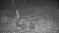 Běžecký lyžařský areál Nová Ves - horní část