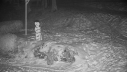 Běžecký lyžařský areál Nová Ves - horní část