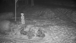 Běžecký lyžařský areál Nová Ves - horní část