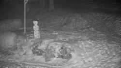 Běžecký lyžařský areál Nová Ves - horní část