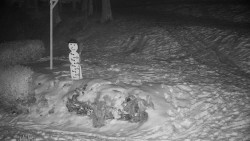 Běžecký lyžařský areál Nová Ves - horní část