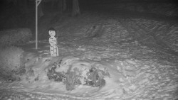 Běžecký lyžařský areál Nová Ves - horní část