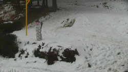 Běžecký lyžařský areál Nová Ves - horní část