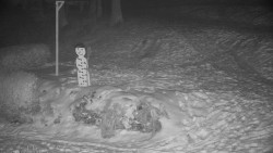 Běžecký lyžařský areál Nová Ves - horní část