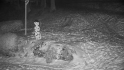 Běžecký lyžařský areál Nová Ves - horní část