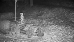 Běžecký lyžařský areál Nová Ves - horní část