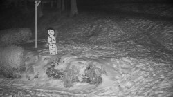 Běžecký lyžařský areál Nová Ves - horní část