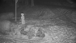 Běžecký lyžařský areál Nová Ves - horní část