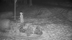 Běžecký lyžařský areál Nová Ves - horní část