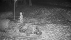 Běžecký lyžařský areál Nová Ves - horní část