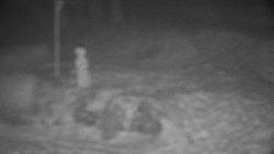 Běžecký lyžařský areál Nová Ves - horní část