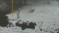 Běžecký lyžařský areál Nová Ves - horní část