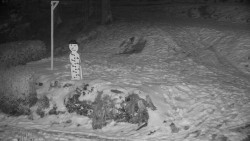 Běžecký lyžařský areál Nová Ves - horní část