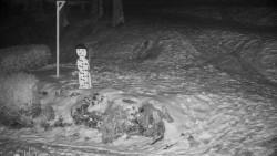 Běžecký lyžařský areál Nová Ves - horní část