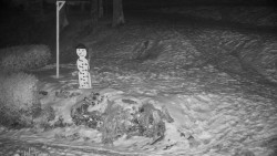 Běžecký lyžařský areál Nová Ves - horní část