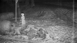 Běžecký lyžařský areál Nová Ves - horní část