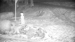 Běžecký lyžařský areál Nová Ves - horní část