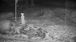 Běžecký lyžařský areál Nová Ves - horní část