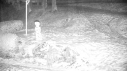 Běžecký lyžařský areál Nová Ves - horní část