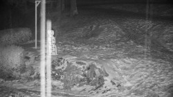 Běžecký lyžařský areál Nová Ves - horní část